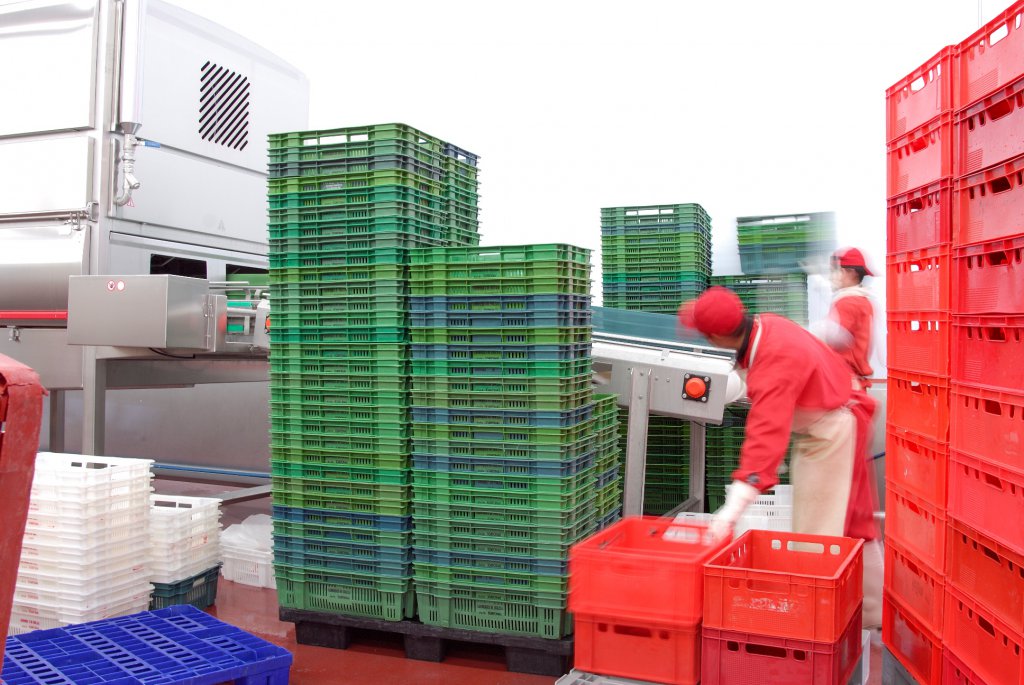double-lane-manual-crate-unloading
